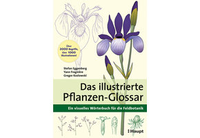 Das illustrierte Pflanzen-Glossar