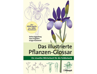 Das illustrierte Pflanzen-Glossar