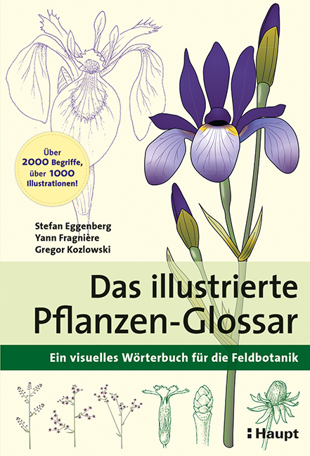 Das illustrierte Pflanzen-Glossar - Ein visuelles Wörterbuch für die Feldbotanik