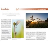 Fotografiegids Vlinders en Libellen - Alle fotogenieke soorten van de Benelux