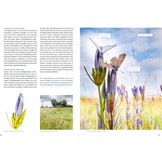 Fotografiegids Vlinders en Libellen - Alle fotogenieke soorten van de Benelux