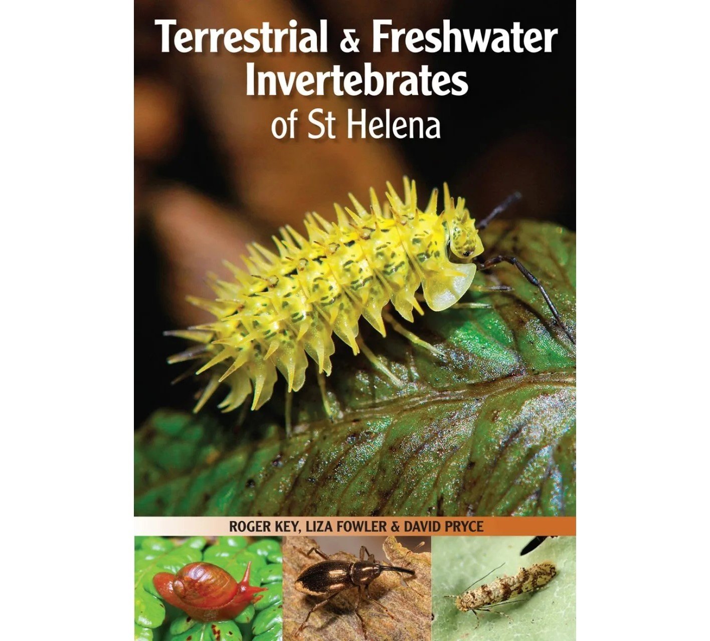 Terrestrial & Freshwater Invertebrates of St Helena