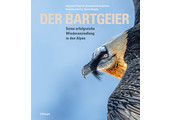 Der Bartgeier