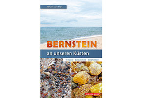 Bernstein an unseren Küste