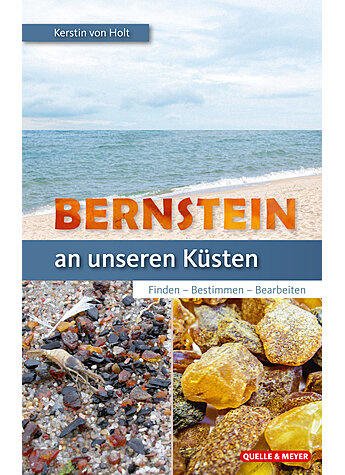 Bernstein an unseren Küsten - Finden - Bestimmen - Bearbeiten