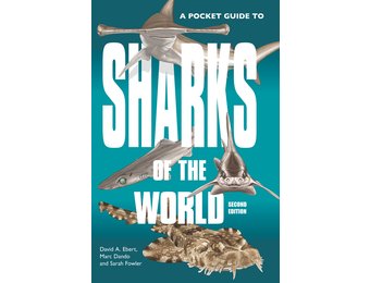 A Pocket Guide to the Sharks of the World