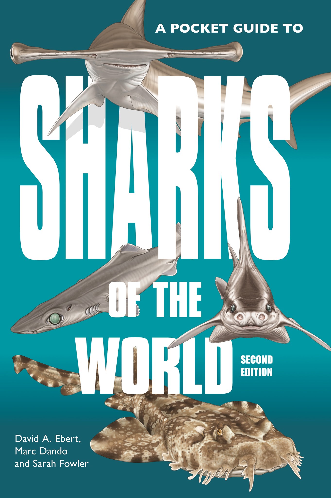 to　Sharks　the　A　Pocket　Guide　the　of　World
