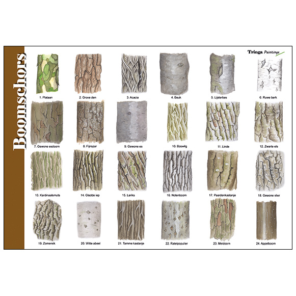 Identification Card Bark