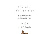 The Last Butterflies