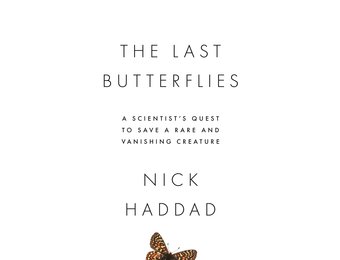 The Last Butterflies