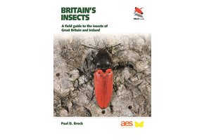 Britain's Insects