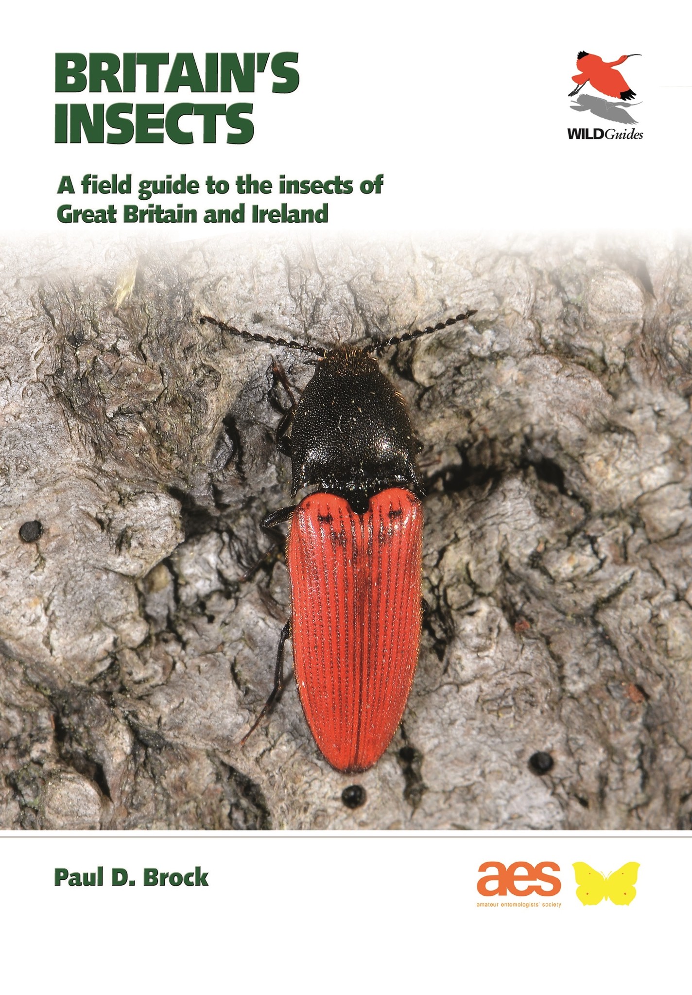 Britain's Insects - A Field Guide to the Insects of Great Britain and Ireland