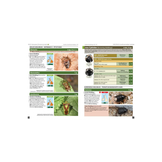 Britain's Insects - A Field Guide to the Insects of Great Britain and Ireland