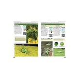 Britain's Insects - A Field Guide to the Insects of Great Britain and Ireland