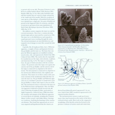 Freshwater Fishes of North America, Volume 1: Petromyzontidae to Catostomidae