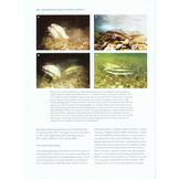 Freshwater Fishes of North America, Volume 1: Petromyzontidae to Catostomidae