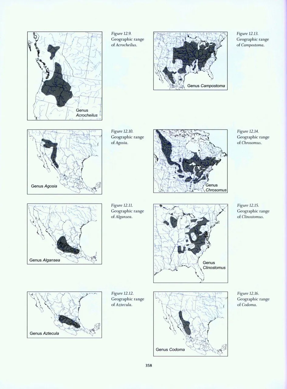 Freshwater Fishes of North America, Volume 1: Petromyzontidae to