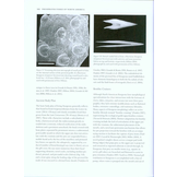 Freshwater Fishes of North America, Volume 1: Petromyzontidae to Catostomidae