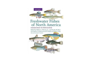 Freshwater Fishes of North America, Volume 2: Characidae to Poeciliidae