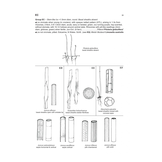 The Vegetative Key to the British Flora - A New Approach to Naming British & Irish Vascular Plants Based on Vegetative Characters