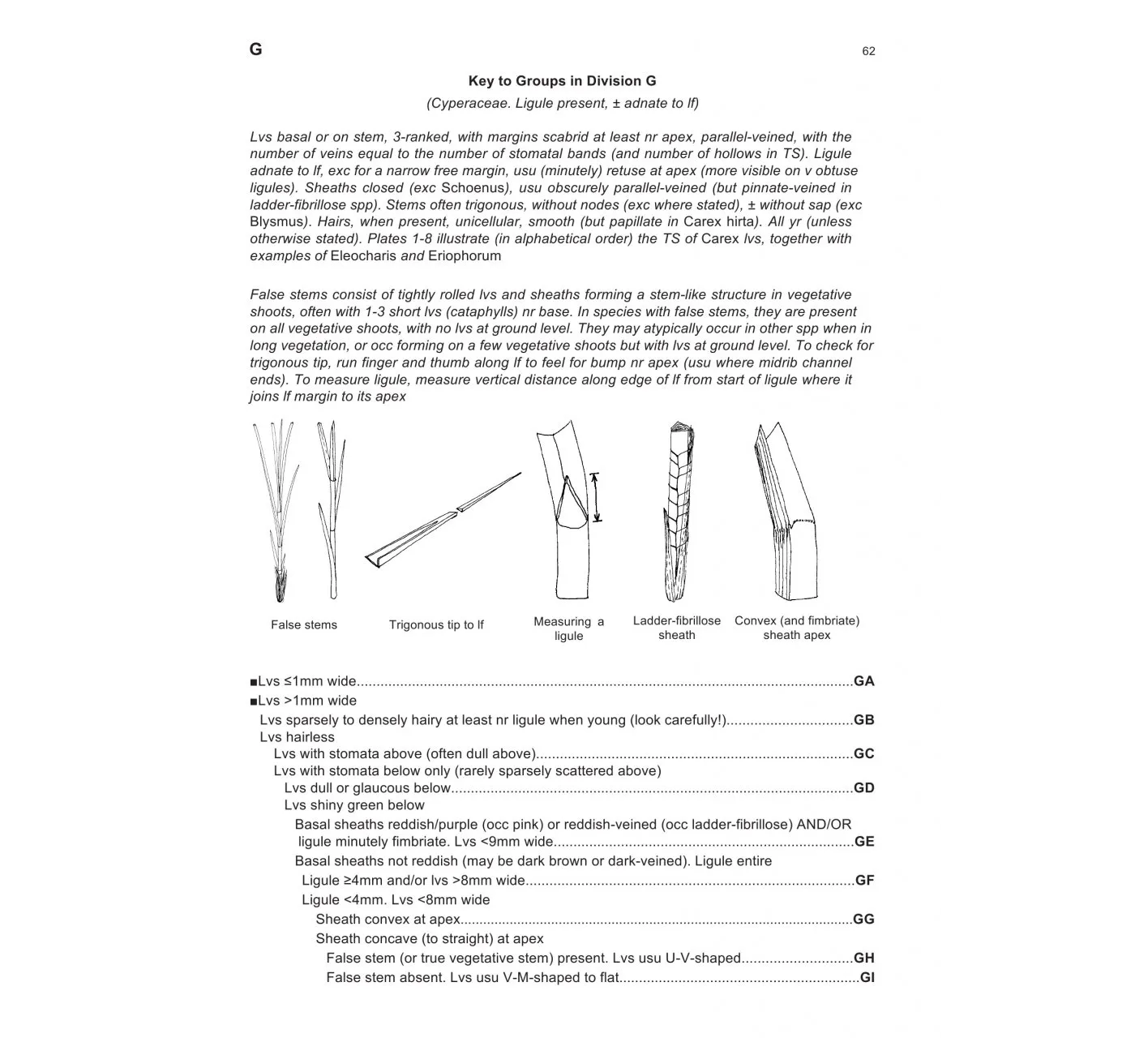 The Vegetative Key to the British Flora - A New Approach to Naming British & Irish Vascular Plants Based on Vegetative Characters