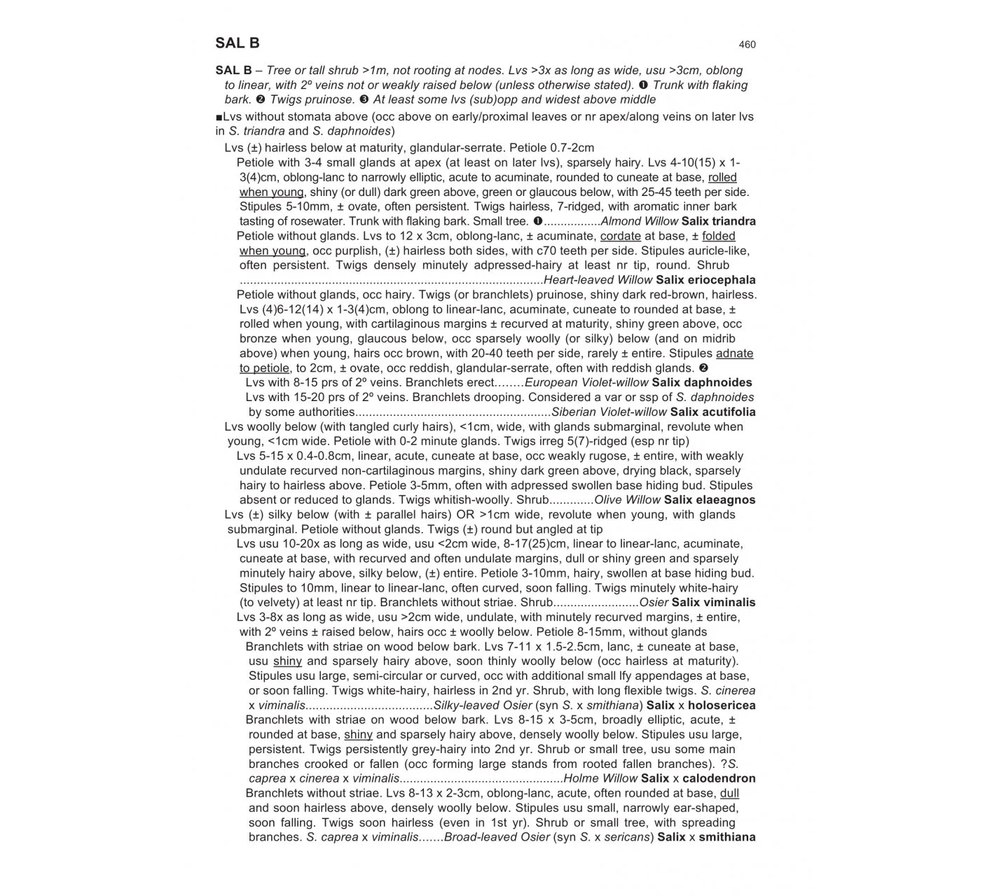 The Vegetative Key to the British Flora - A New Approach to Naming British & Irish Vascular Plants Based on Vegetative Characters