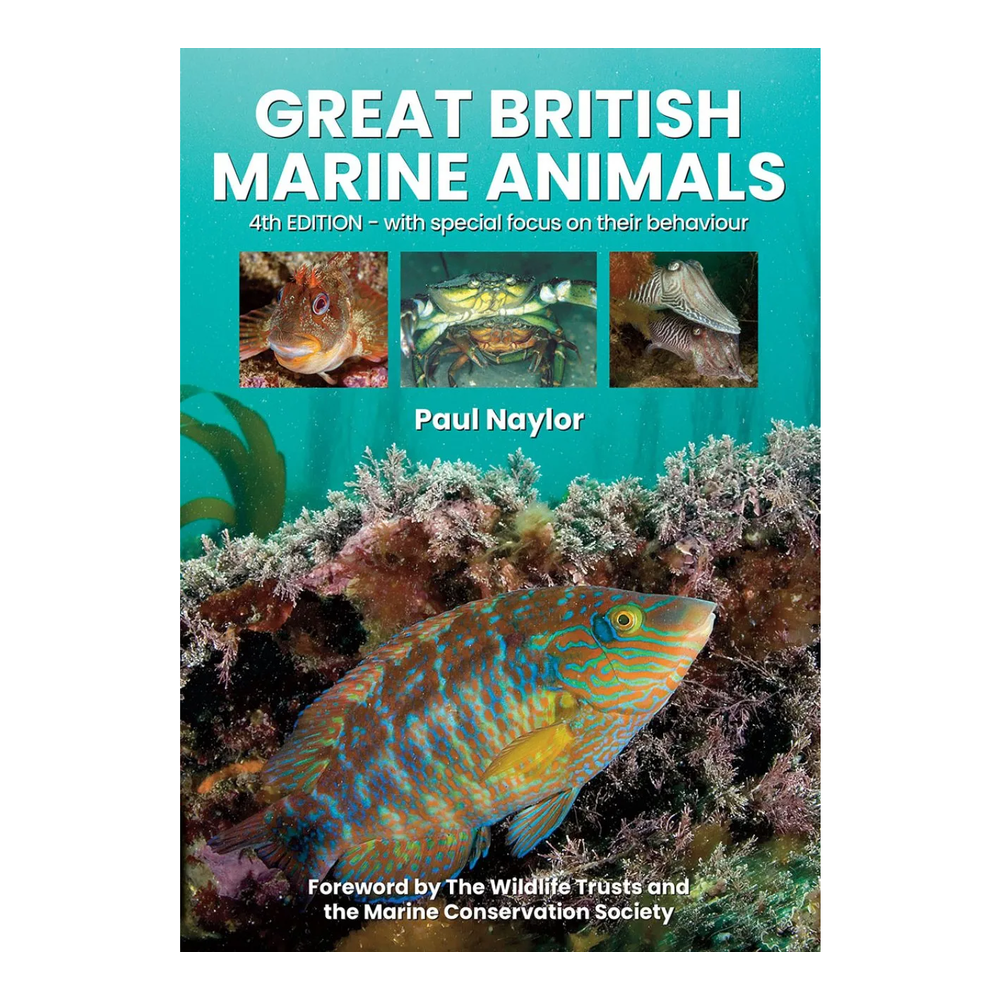 Great British Marine Animals - Veldshop.nl