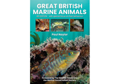 Great British Marine Animals