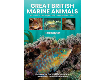 Great British Marine Animals
