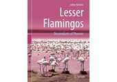 Lesser Flamingos