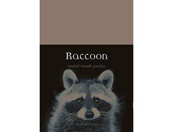 Raccoon