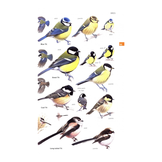 Guide to Garden Wildlife