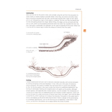 Guide to Garden Wildlife
