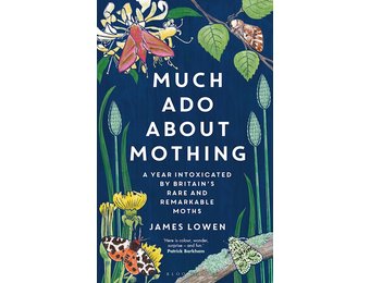 Much Ado About Mothing