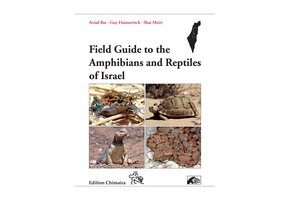 Field Guide to the Amphibians and Reptiles of Israel