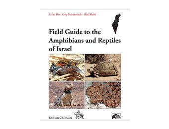Field Guide to the Amphibians and Reptiles of Israel