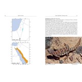 Field Guide to the Amphibians and Reptiles of Israel
