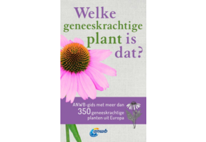 Welke geneeskrachtige plant is dat?