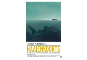 Haaienkoorts