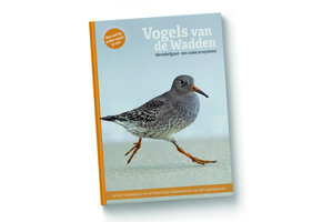 Vogels van de Wadden