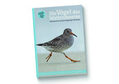 Die Vögel des Wattenmeeres