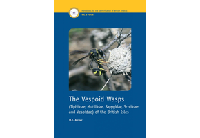 The Vespoid Wasps