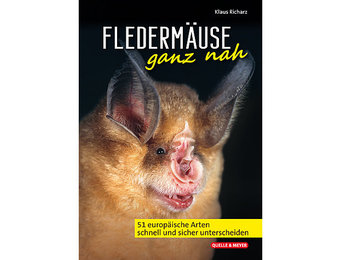 Fledermäuse ganz nah