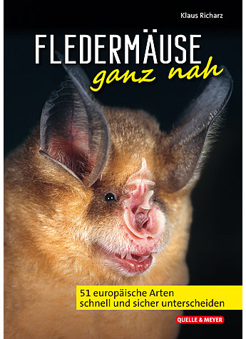 Fledermäuse ganz nah - 51 europäische Arten schnell und sicher unterscheiden