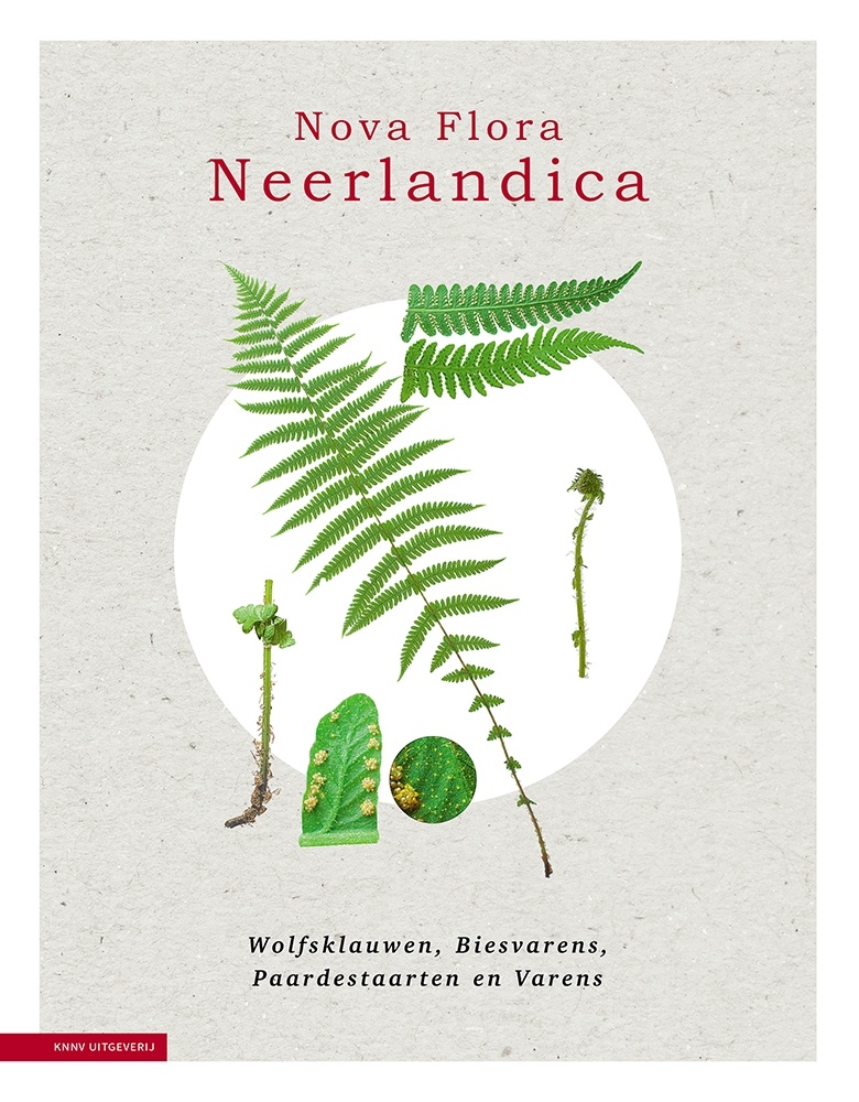 Nova Flora Neerlandica - Deel 1 - Wolfsklauwen, biesvarens, paardestaarten en varens