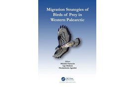 Migration Strategies of Birds of Prey in Western Palearctic