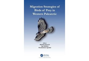 Migration Strategies of Birds of Prey in Western Palearctic