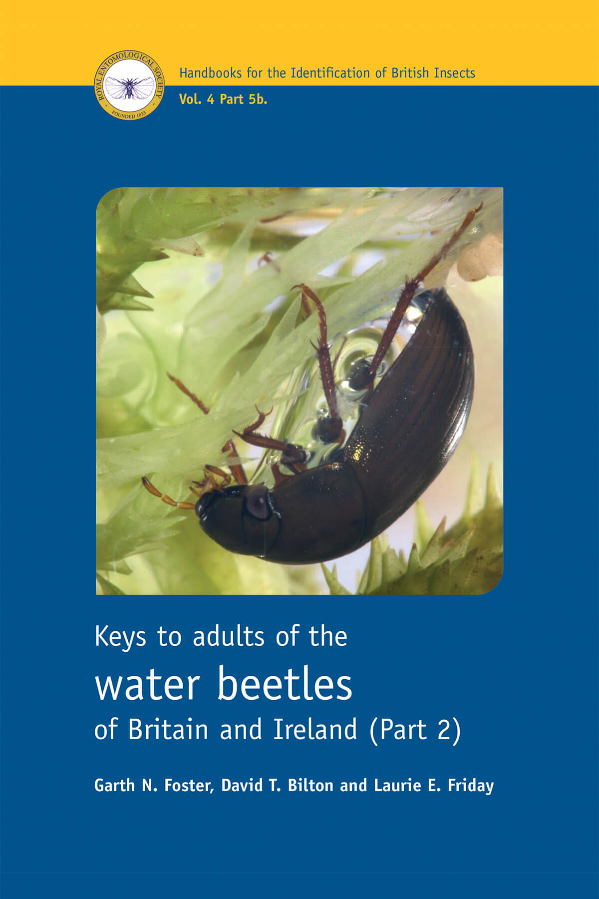 RES Handbook, Volume 4, Part 5b: Keys to Adults of the Water Beetles of Britain and Ireland (Part 2)