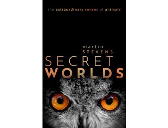 Secret Worlds