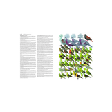 Collins Birds of the World - All 10,711 Species Illustrated